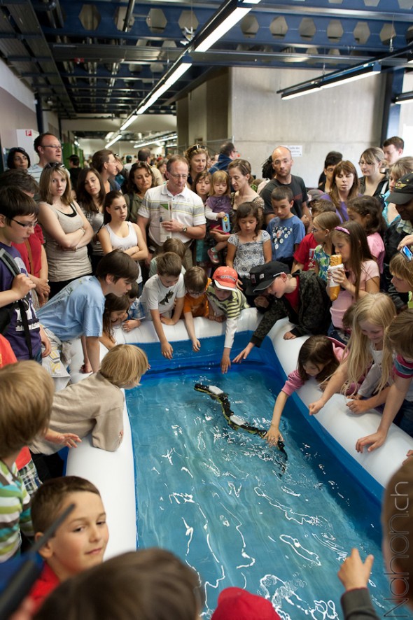 Reportage-Festival-Robotique_2011_4