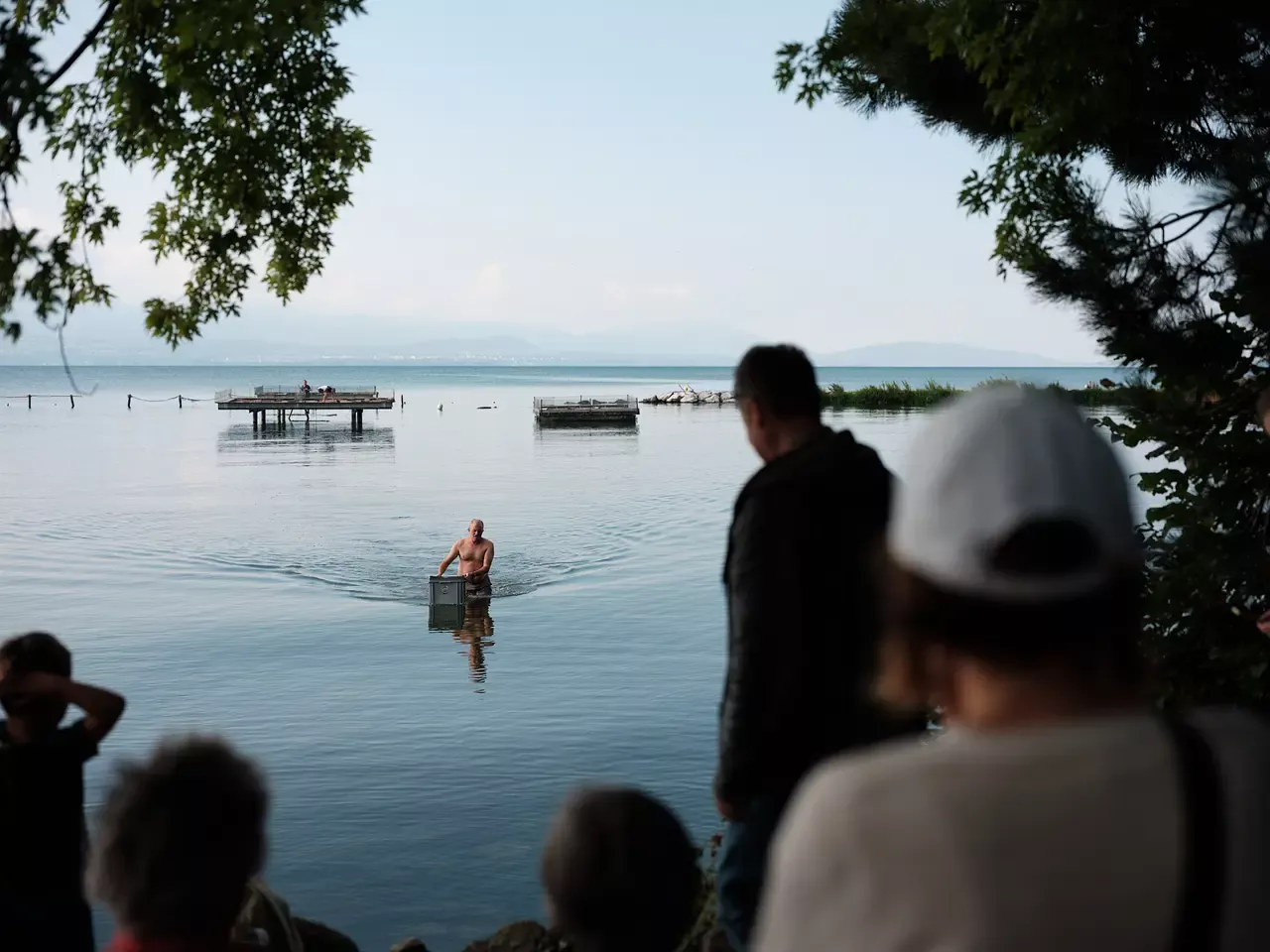 Reportage à Préverenges pour le baguage des sternes.