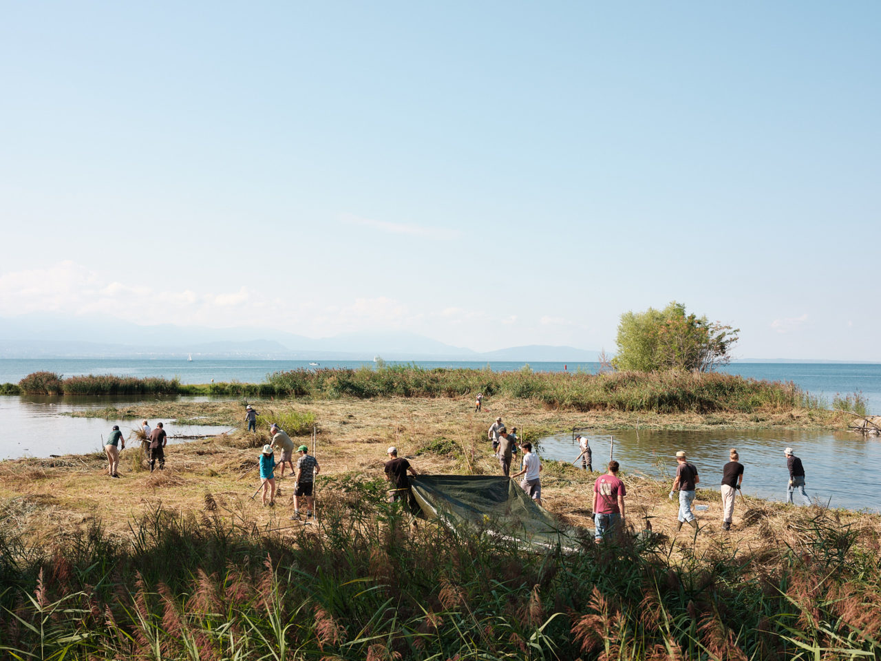 Photo des volontaires pour le défrichage de l'île aux oiseaux à Préverenges